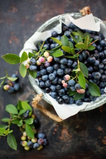 Fresh blueberries from the original cookbook cover